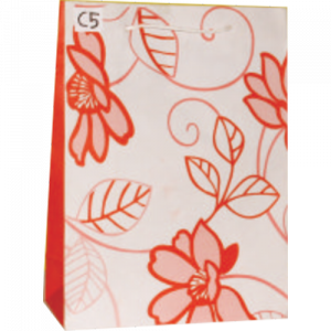 Paper Bag C5